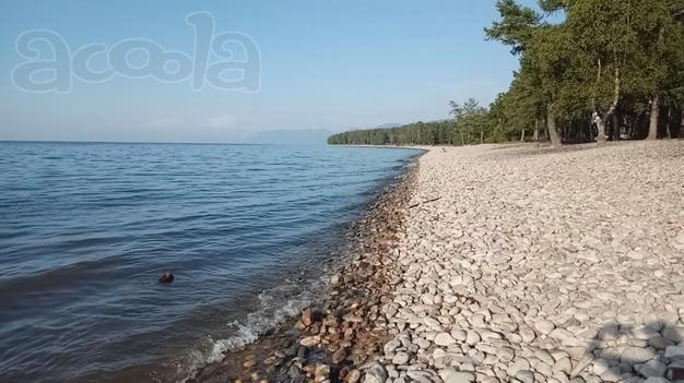 Продаётся земельный участок 3 Га на берегу озера Байкал, Респ. Бурятия, Кабанский район, с. Заречье
